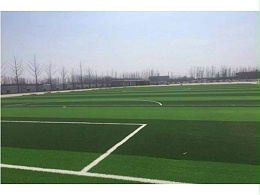 我们熟悉的人造草坪的一种状态