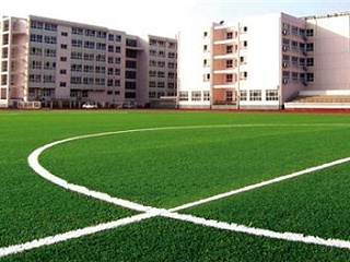 不放颗粒的人造草足球场来了。