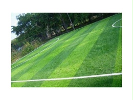 人造草坪发展迅速的原因