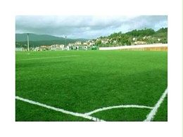 怎样识别人造草的好坏