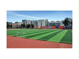 为何足球场使用人造草越来越多