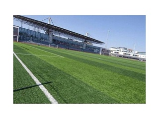 影响人造草价格的因素有哪些