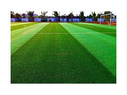 人造草坪的维护与保养方法及注意事项