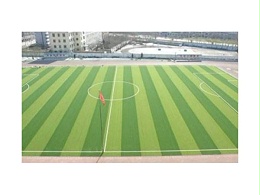 人造草足球场和天然足球场的区别