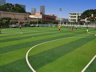 北京人造草足球场能不能满足用户对足球场的需求