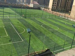 现在可以在网上购买人造草足球场