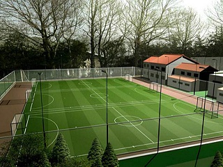 人造草足球场这个产品更适合哪种人群