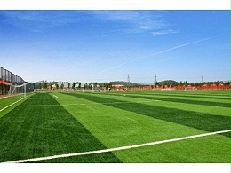 足球场地人造草坪与天然草坪详细对比