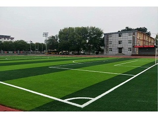 环保型人造草足球场的重要性